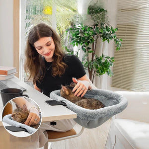Foldable Cat Desk Bed Graceland International Trading